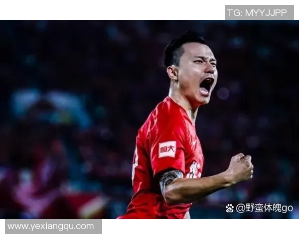 中国足球明星风采全景介绍与成就回顾