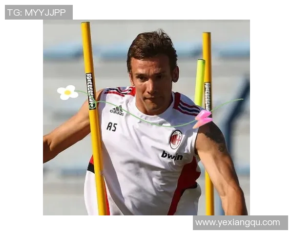 历届足球明星颜值排行榜揭秘谁是最帅球员的巅峰之作