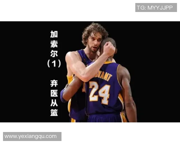篮球明星罗的传奇之路与赛场背后的奋斗故事